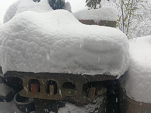 rblog-20180206185727-00.jpg