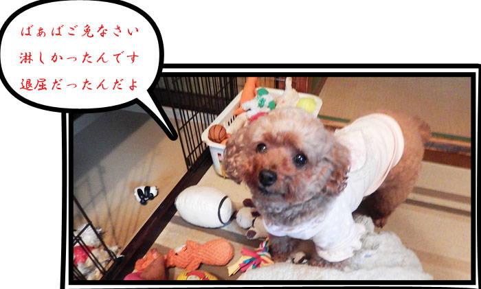 こころ１９