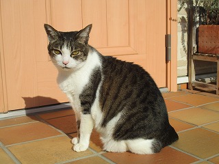 IMG_5717ss.jpg