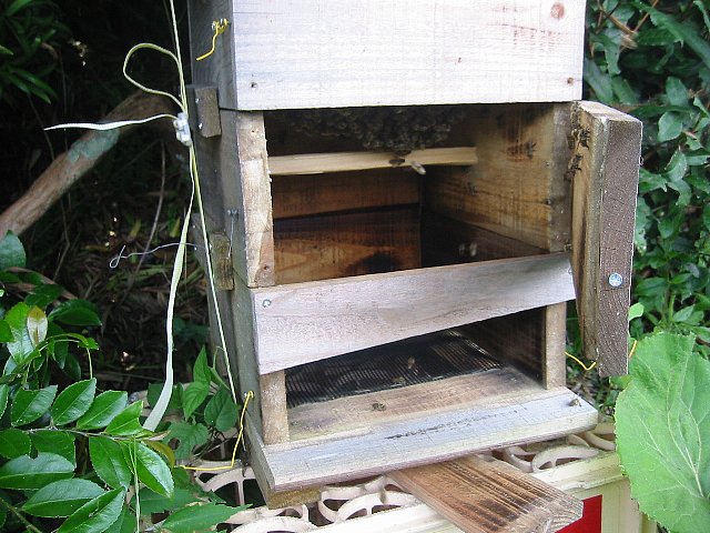 20120710_001.jpg