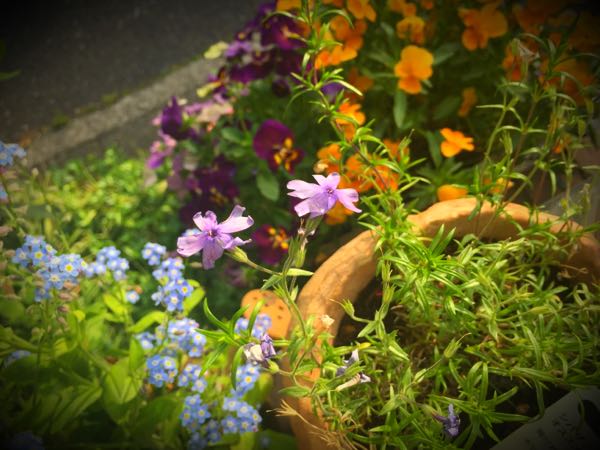 rblog-20160426175049-07.jpg