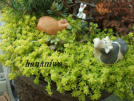 2012_0319トレッサ用寄せ植えとクレマチスの講座とカ0012.JPG
