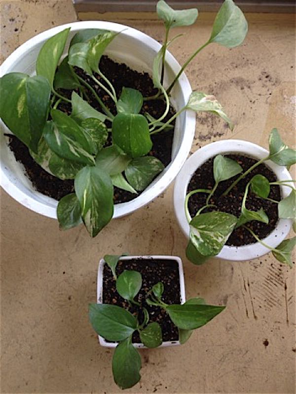 rblog-20150517145419-03.jpg