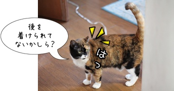 画像 003.jpg