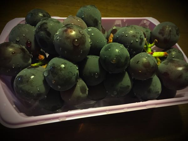 rblog-20150823214037-01.jpg