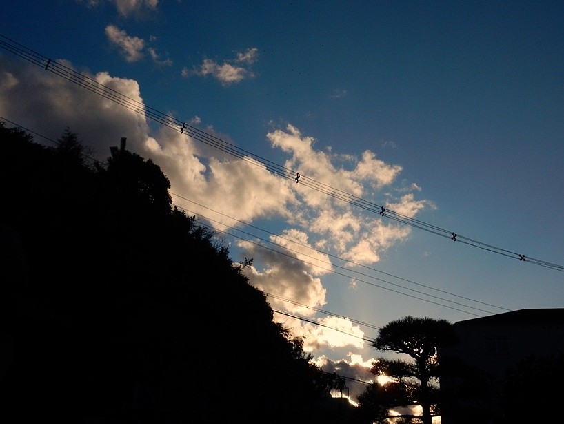 夕暮れ2.JPG
