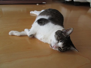 IMG_5406ss.jpg