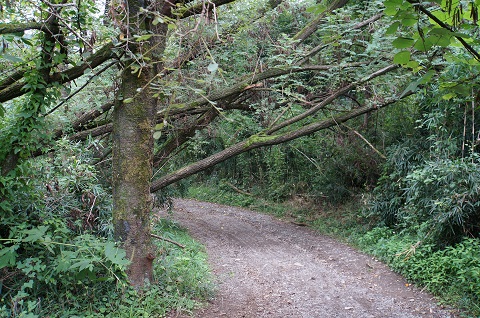 DSC00475.JPG