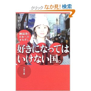 好きになってはいけない国