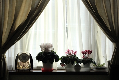 20130106-3.JPG
