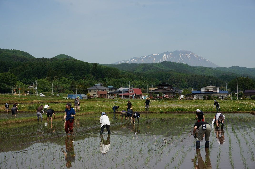 県央 滝沢市 岩手の酒蔵 南部美人 美山錦の田植え イーハトーブログ 楽天ブログ