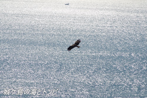 城ケ島の光景