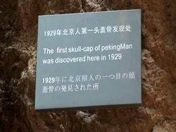 発見場所.JPG