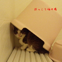 4/13 AM5:33の地震後の福２