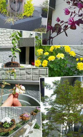rblog-20140417142034-00.jpg