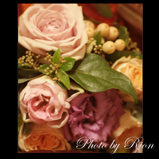 rose1.jpg