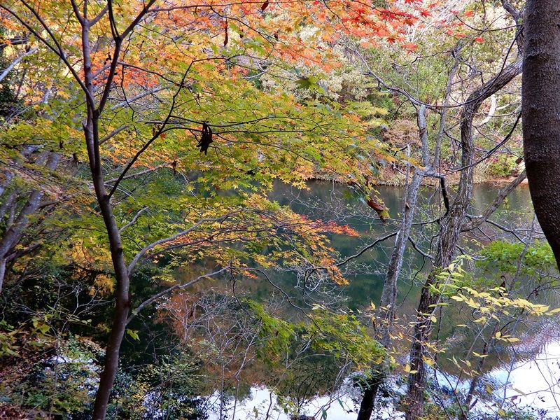 砂防ダム5