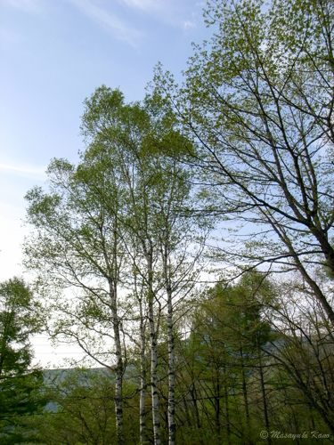 20150520-2
