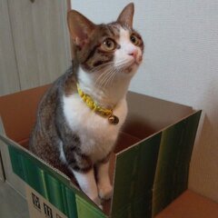 ３月８日分 047.jpg