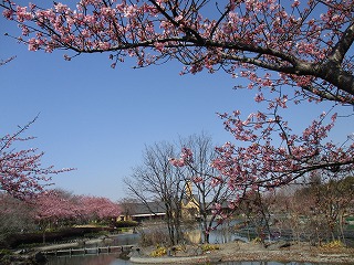 IMG_6840ss.jpg