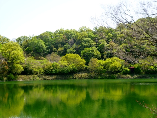 118 (500x375).jpg