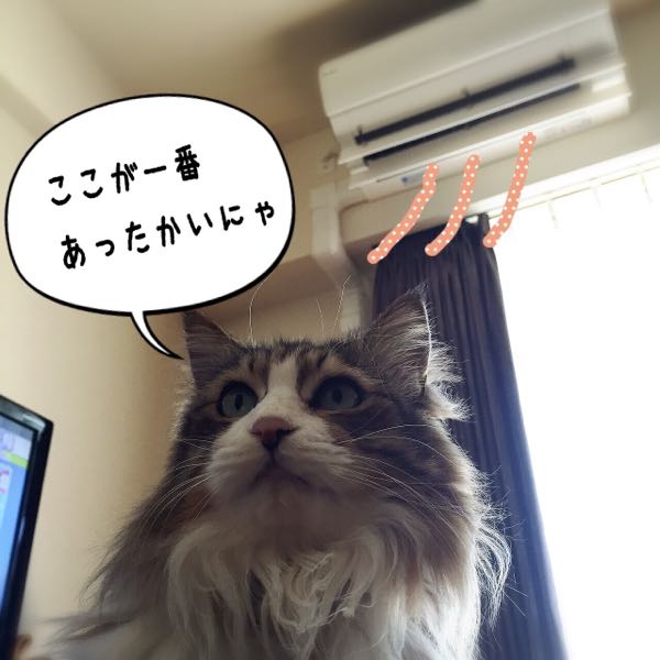 rblog-20150202132726-02.jpg