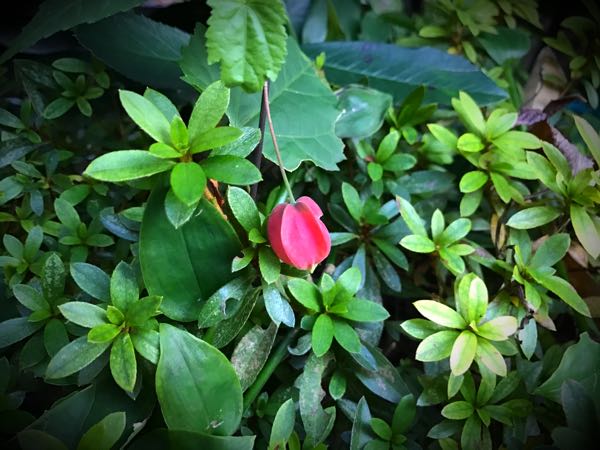 rblog-20161128165148-01.jpg