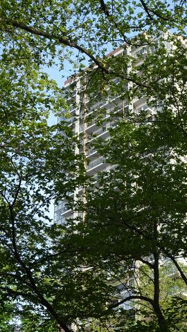 rblog-20140802181432-02.jpg