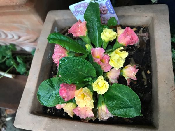 rblog-20190419194830-05.jpg