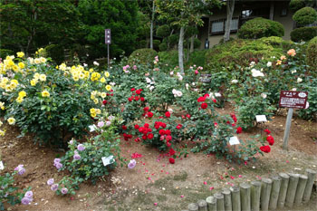 佳松園98.jpg