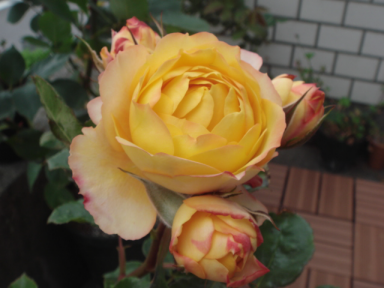 DSC08014.png