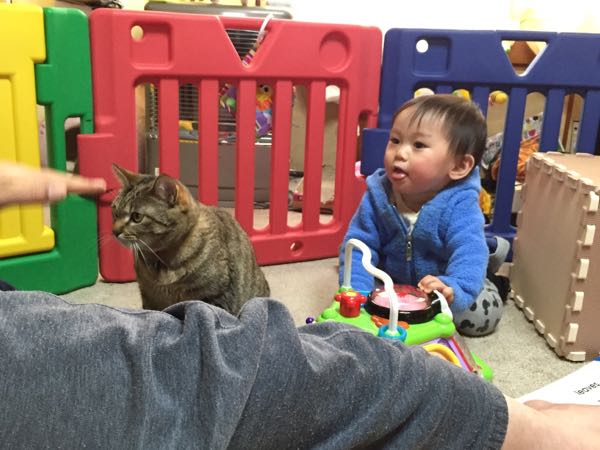 rblog-20150206125813-01.jpg