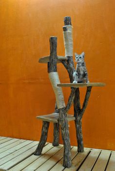 猫の遊び場３