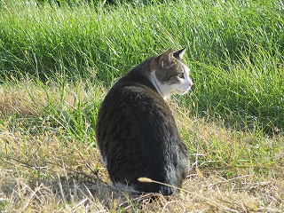 IMG_4337ss.jpg
