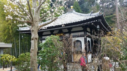 rblog-20160321075334-02.jpg
