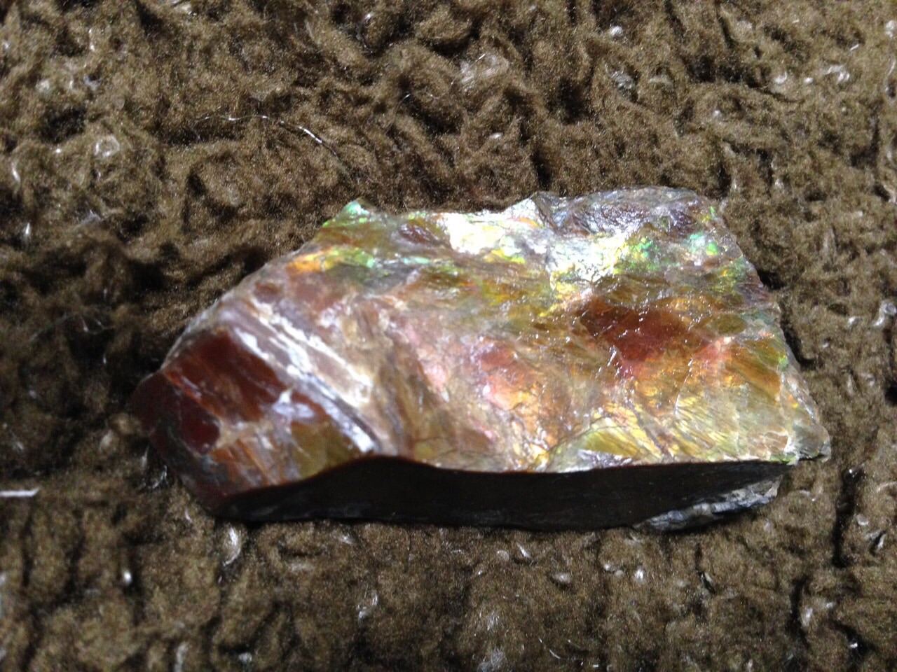 アンモライト原石裏