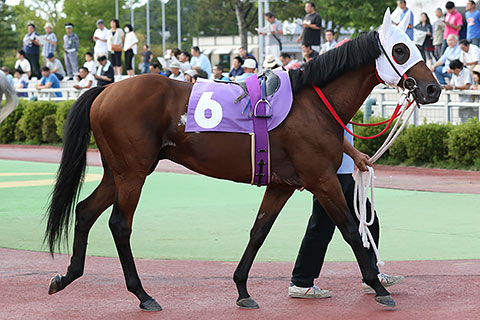 163ページ目の記事一覧 地方競馬の楽天競馬 日替わりライターブログ 楽天ブログ