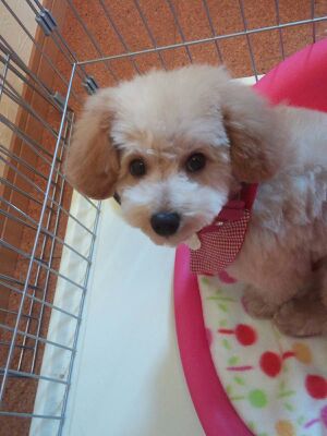 rblog-20140305102814-00.jpg