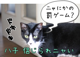 画像 108.jpg