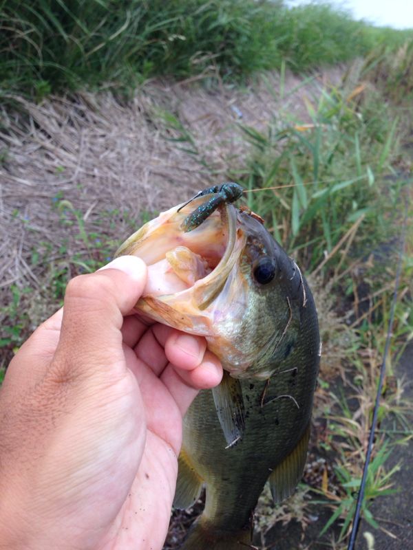 rblog-20140925171756-01.jpg