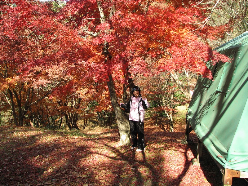 紅葉スポット：キャンプ場