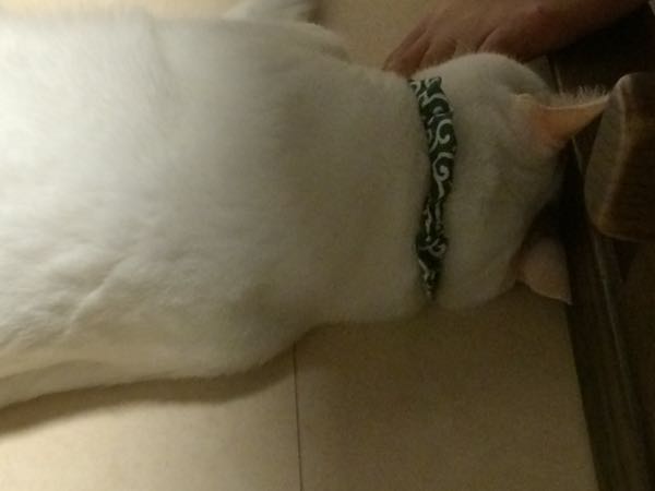 rblog-20150616070434-02.jpg