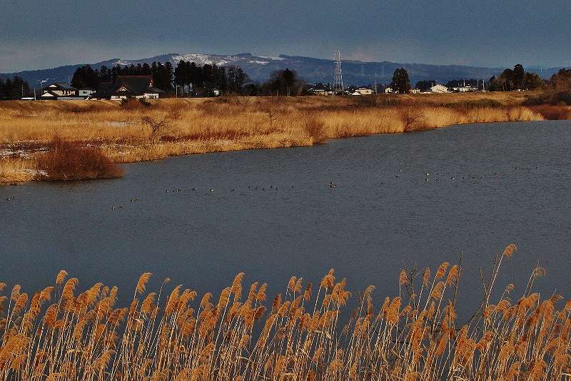 IMG_4508 (800x534).jpg