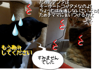 P6180036.png