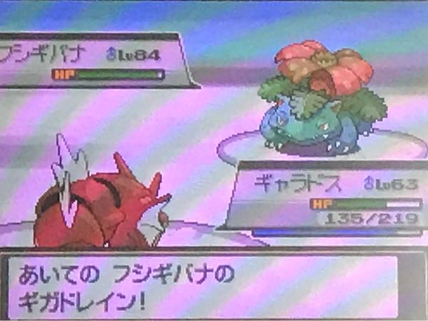 ポケモンhgss たこやきのポケモンブログ 楽天ブログ