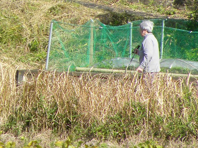 DSCN0286.jpg