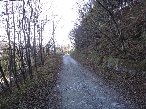 DSC00205.JPG