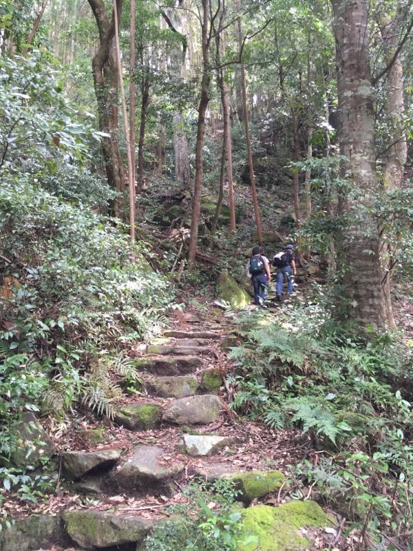 rblog-20160410232532-02.jpg