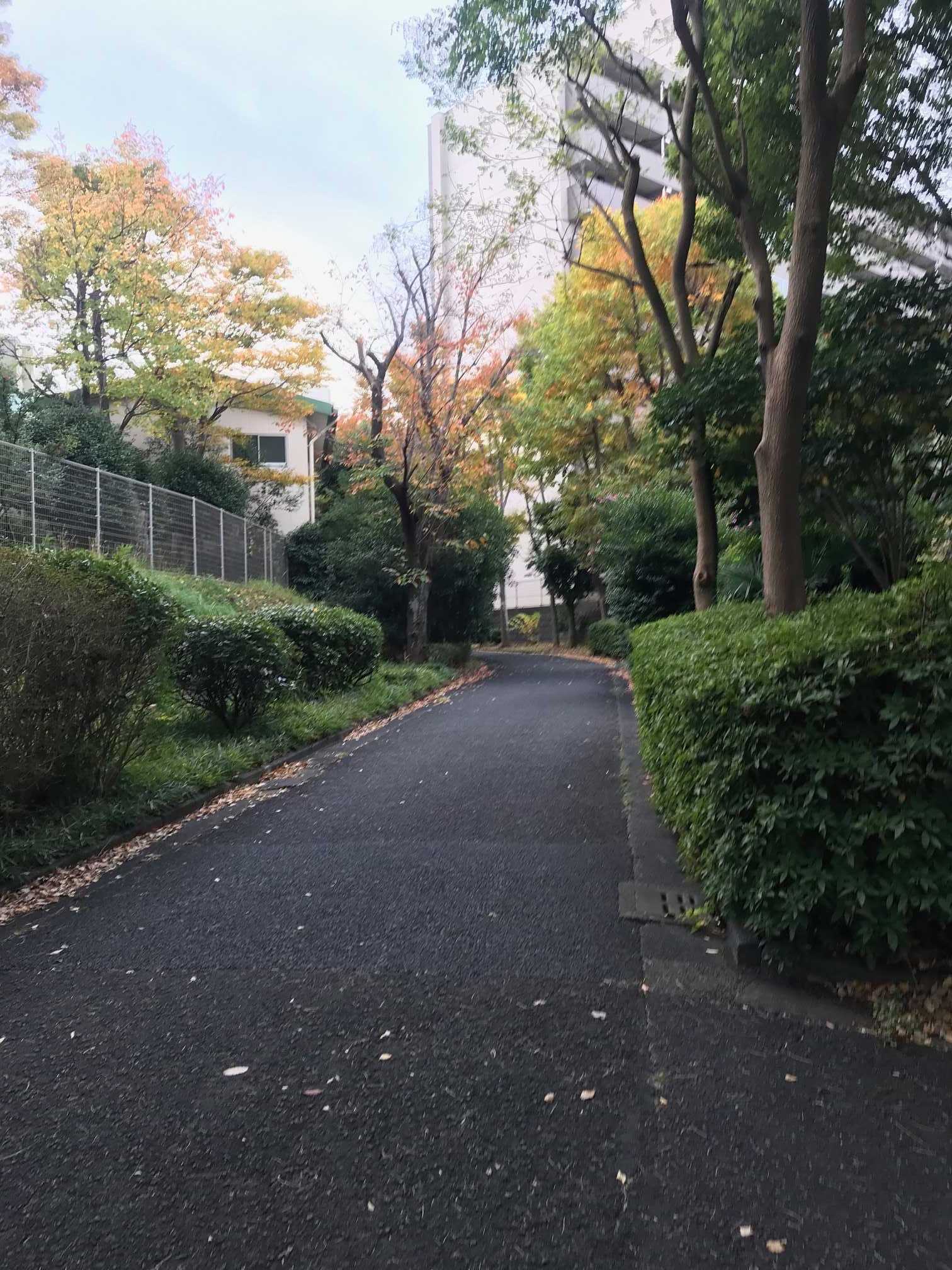 今日のランニング | まったりと、がんばルンバ♪ - 楽天ブログ