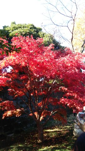rblog-20141203204131-01.jpg